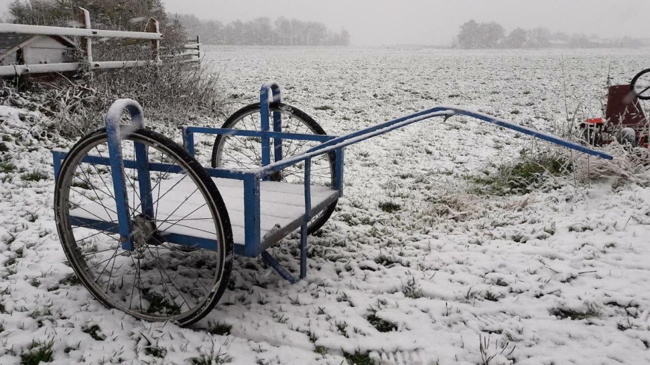 Noord-Hollands Hof Dream Lägenhet Spijkerboor Exteriör bild